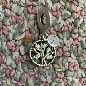 Circle of Life Pandora Charm